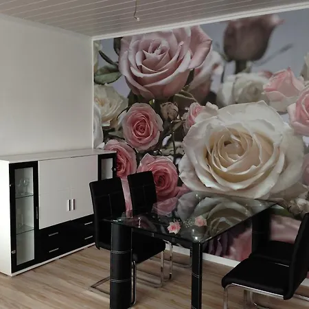 Ferienwohnung Apartment